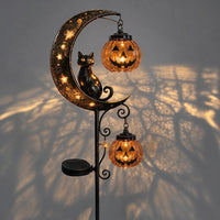 B-Double Pumpkin
