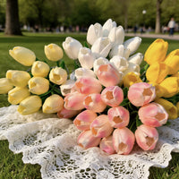 5 Pcs‑Cream